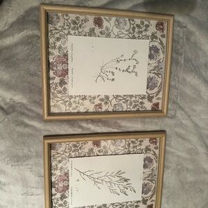 Elegant Botanical Framed Wall Art Set - Gold and Cream